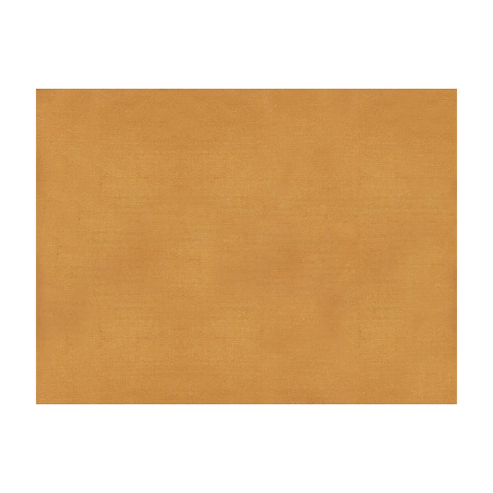 Sukhothai Apricot by Brunschwig & Fils Fabric Brunschwig & Fils Fabric Sukhothai ApricotFabric JAGTAR SILK - 100% Thailand </p><p>Repeat: H: 0, V: 0 55 - Fabric Carolina -