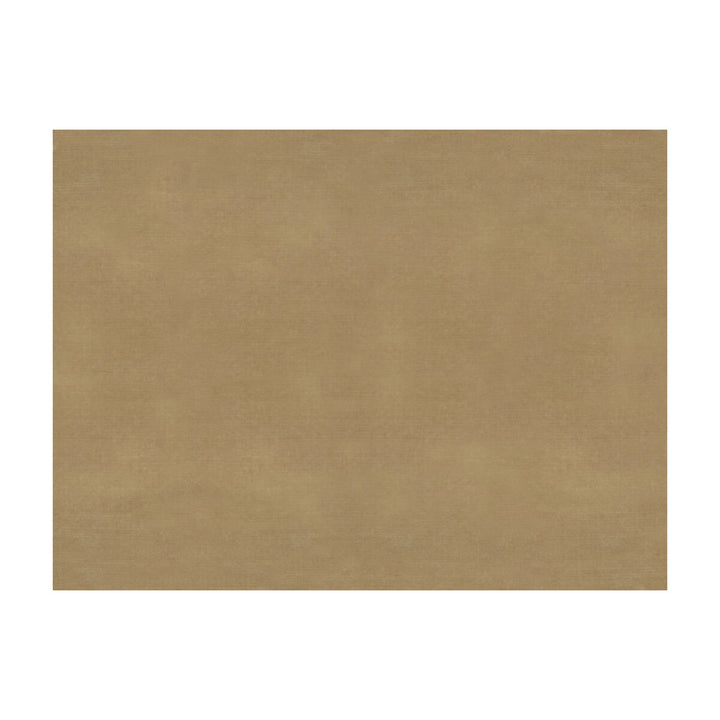 Sukhothai Tan by Brunschwig & Fils Fabric Brunschwig & Fils Fabric Sukhothai TanFabric JAGTAR SILK - 100% Thailand </p><p>Repeat: H: 0, V: 0 55 - Fabric Carolina -