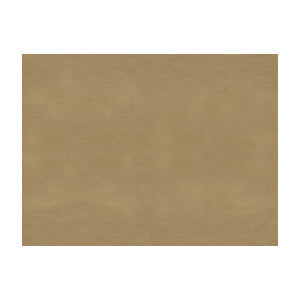 Sukhothai Tan by Brunschwig & Fils Fabric