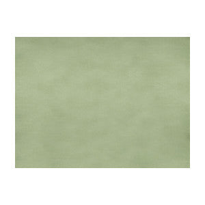 Sukhothai Celadon Green by Brunschwig & Fils Fabric