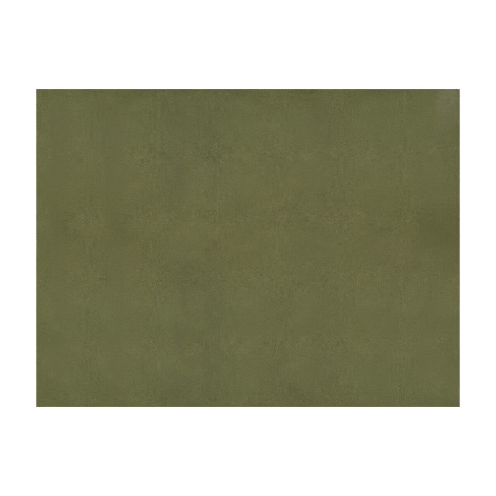 Sukhothai Olive by Brunschwig & Fils Fabric Brunschwig & Fils Fabric Sukhothai Olive Fabric JAGTAR SILK - 100% Thailand </p><p>Repeat: H: 0, V: 0 55 - Fabric Carolina -