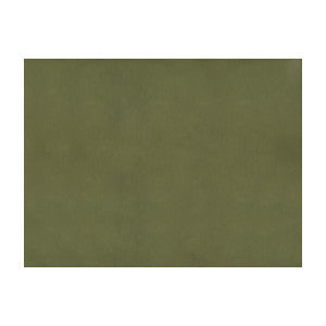 Sukhothai Olive by Brunschwig & Fils Fabric