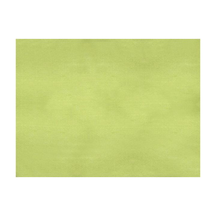 Sukhothai Lemon Green by Brunschwig & Fils Fabric Brunschwig & Fils Fabric Sukhothai Lemon GreenFabric JAGTAR SILK - 100% Thailand </p><p>Repeat: H: 0, V: 0 55 - Fabric Carolina -