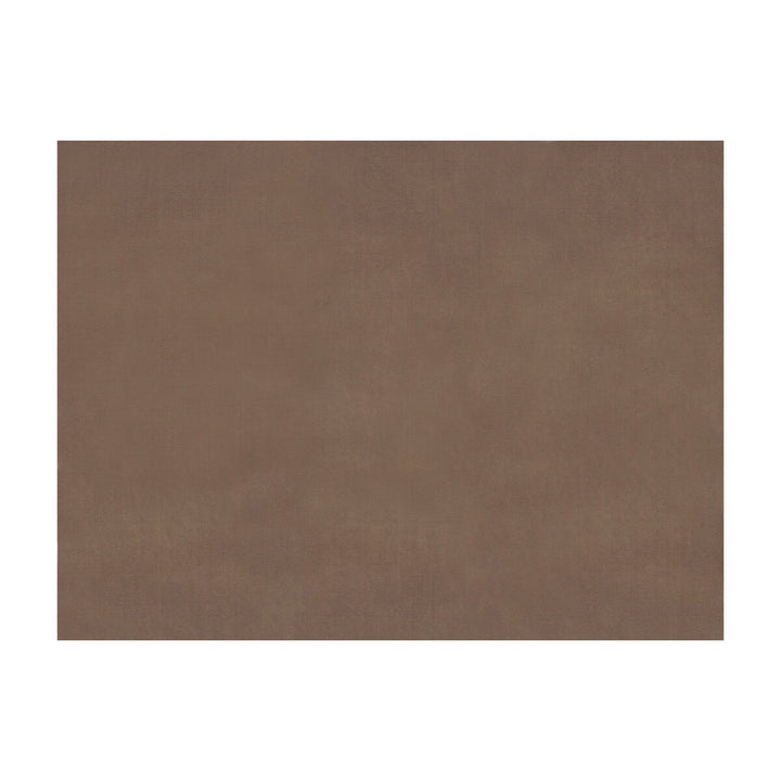 Sukhothai Sandstone by Brunschwig & Fils Fabric Brunschwig & Fils Fabric Sukhothai SandstoneFabric JAGTAR SILK - 100% Thailand </p><p>Repeat: H: 0, V: 0 55 - Fabric Carolina -