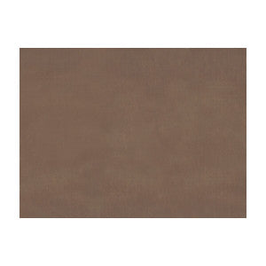 Sukhothai Sandstone by Brunschwig & Fils Fabric