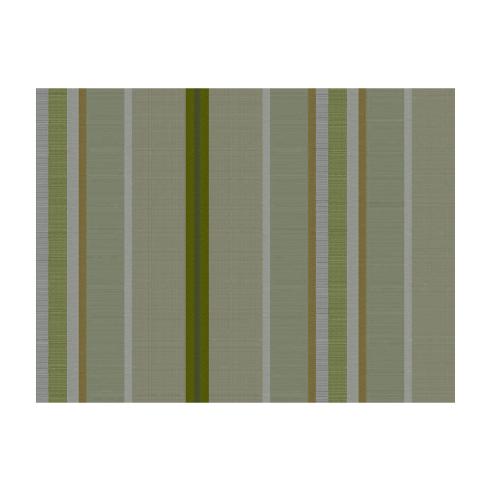 Twist Stripe Celeri by Brunschwig & Fils Fabric Brunschwig & Fils Fabric Twist Stripe CeleriFabric JAGTAR SILK - 100% Thailand </p><p>Repeat: H: 10.64, V: 0 55 - Fabric Carolina -