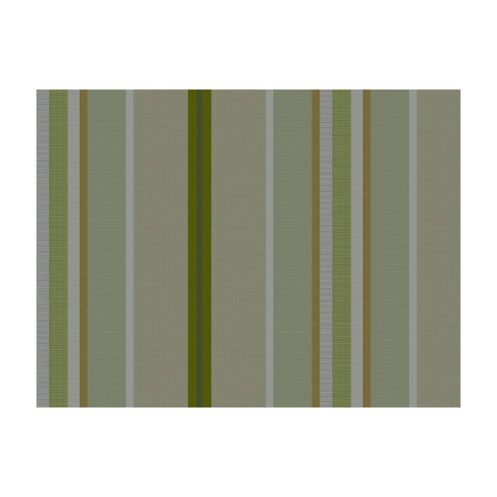 Twist Stripe Celeri by Brunschwig & Fils Fabric Brunschwig & Fils Fabric Twist Stripe CeleriFabric JAGTAR SILK - 100% Thailand </p><p>Repeat: H: 10.64, V: 0 55 - Fabric Carolina -