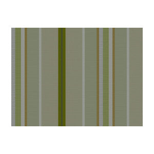 Twist Stripe Celeri by Brunschwig & Fils Fabric