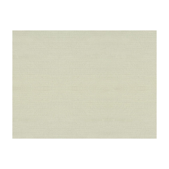 Silk Raffia Neige by Brunschwig & Fils Fabric Brunschwig & Fils Fabric Silk Raffia NeigeFabric JAGTAR SILK - 100% Thailand </p><p>Repeat: H: 0, V: 0 48 - Fabric Carolina -