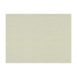 Silk Raffia Neige by Brunschwig & Fils Fabric