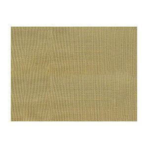 Silk Raffia Bronzio by Brunschwig & Fils Fabric
