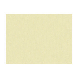 Shots Pongee by Brunschwig & Fils Fabric