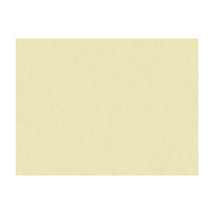 Shots Pongee by Brunschwig & Fils Fabric