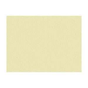 Shots Parchment by Brunschwig & Fils Fabric