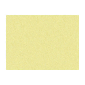 Shots Chamois by Brunschwig & Fils Fabric
