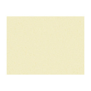 Shots Nacre by Brunschwig & Fils Fabric