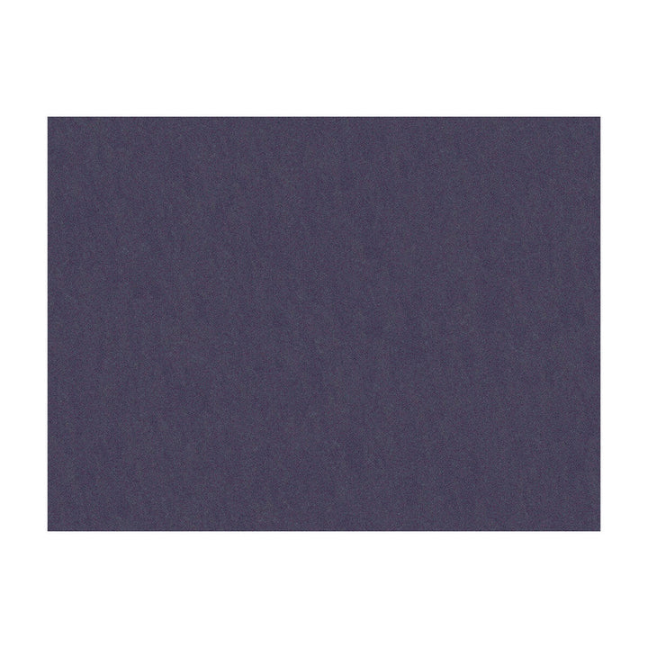 Shots Violetta by Brunschwig & Fils Fabric Brunschwig & Fils Fabric Shots ViolettaFabric JAGTAR SILK - 100% Thailand </p><p>Repeat: H: 0, V: 0 54 - Fabric Carolina -