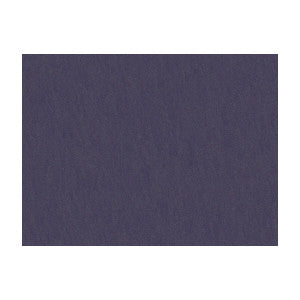 Shots Violetta by Brunschwig & Fils Fabric