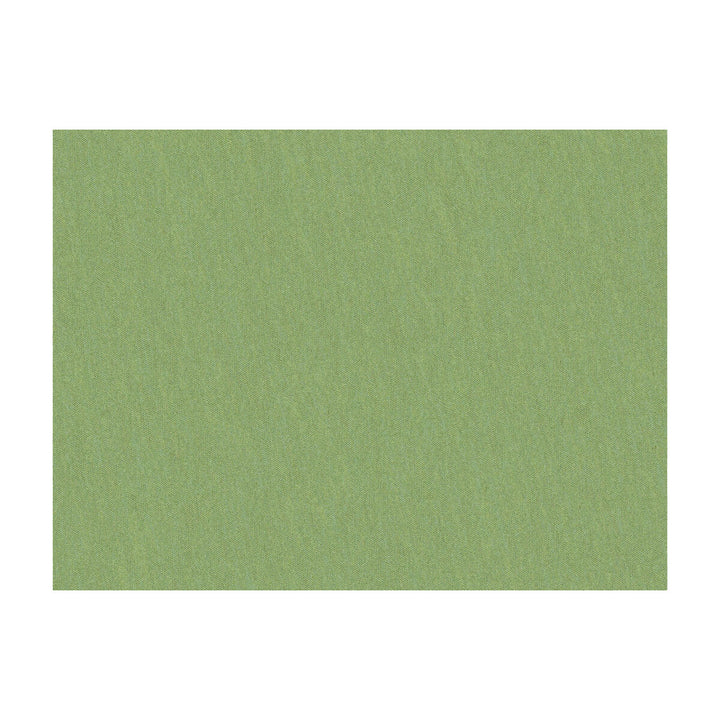 Shots Tarragon by Brunschwig & Fils Fabric Brunschwig & Fils Fabric Shots TarragonFabric JAGTAR SILK - 100% Thailand </p><p>Repeat: H: 0, V: 0 54 - Fabric Carolina -