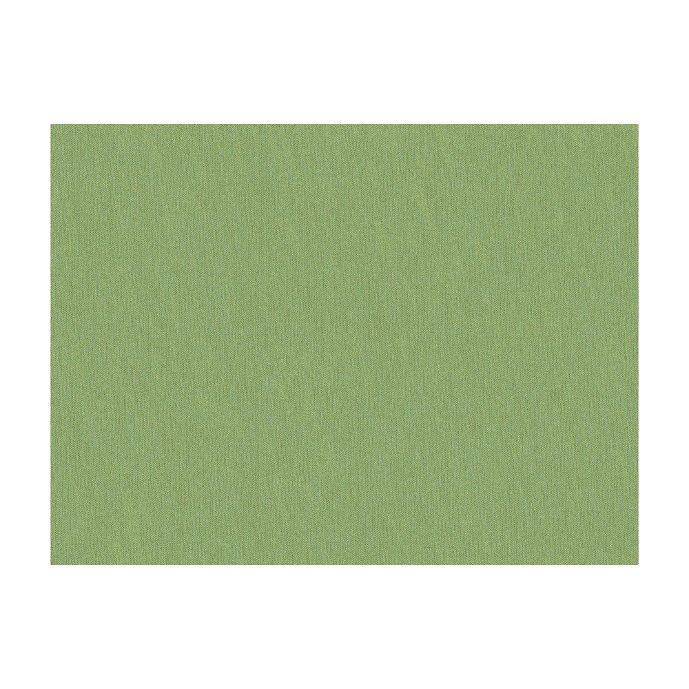 Shots Tarragon by Brunschwig & Fils Fabric Brunschwig & Fils Fabric Shots TarragonFabric JAGTAR SILK - 100% Thailand </p><p>Repeat: H: 0, V: 0 54 - Fabric Carolina -