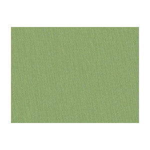 Shots Tarragon by Brunschwig & Fils Fabric