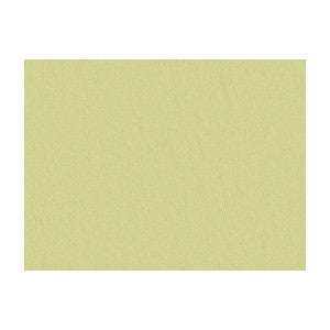 Shots Spanish Moss by Brunschwig & Fils Fabric