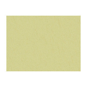 Shots Spanish Moss by Brunschwig & Fils Fabric
