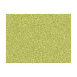 Shots Poire Vert by Brunschwig & Fils Fabric