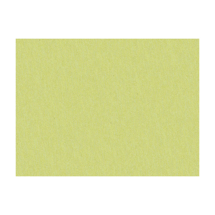 Shots Citrine by Brunschwig & Fils Fabric Brunschwig & Fils Fabric Shots CitrineFabric JAGTAR SILK - 100% Thailand </p><p>Repeat: H: 0, V: 0 54 - Fabric Carolina -