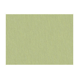 Shots Marjoram by Brunschwig & Fils Fabric