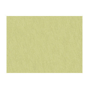 Shots Cypress Moss by Brunschwig & Fils Fabric