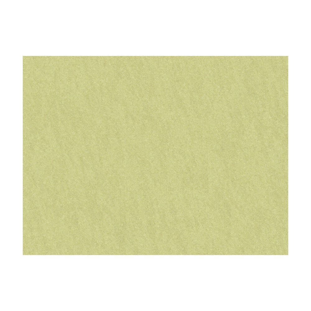 Shots Cypress Moss by Brunschwig & Fils Fabric Brunschwig & Fils Fabric Shots Cypress MossFabric JAGTAR SILK - 100% Thailand </p><p>Repeat: H: 0, V: 0 54 - Fabric Carolina -