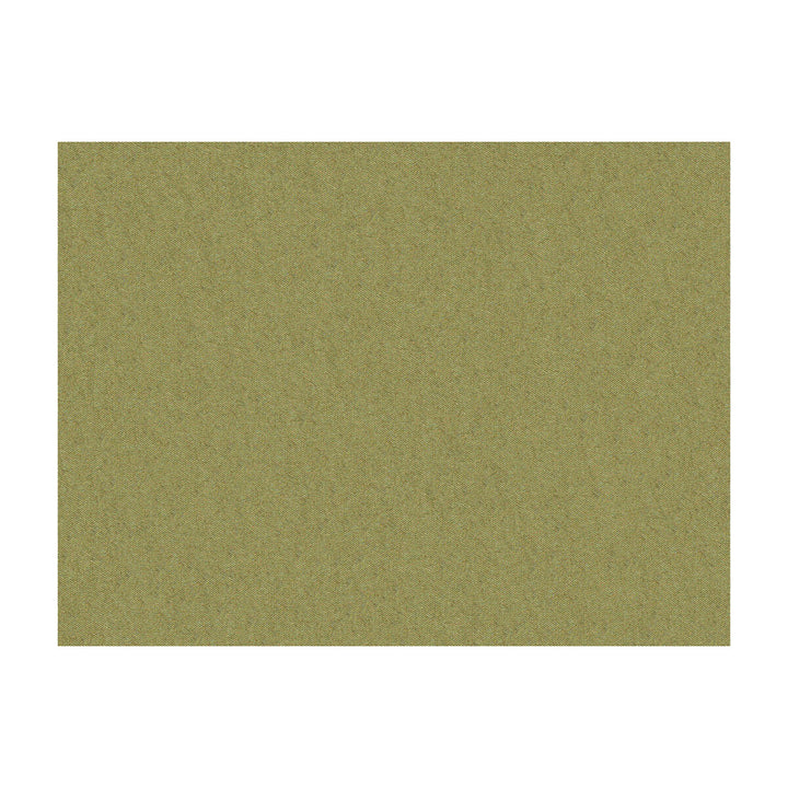 Shots Jade by Brunschwig & Fils Fabric Brunschwig & Fils Fabric Shots JadeFabric JAGTAR SILK - 100% Thailand </p><p>Repeat: H: 0, V: 0 54 - Fabric Carolina -