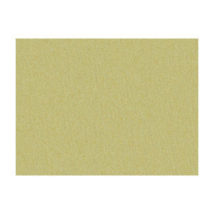 Shots Bronzetto by Brunschwig & Fils Fabric