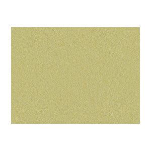 Shots Bronzetto by Brunschwig & Fils Fabric