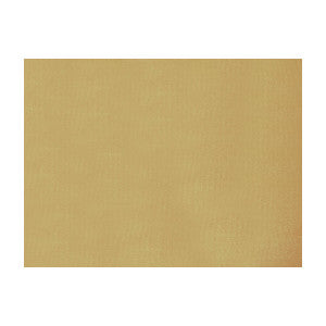 Shots Noisette by Brunschwig & Fils Fabric