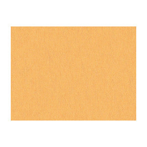 Shots Curry by Brunschwig & Fils Fabric