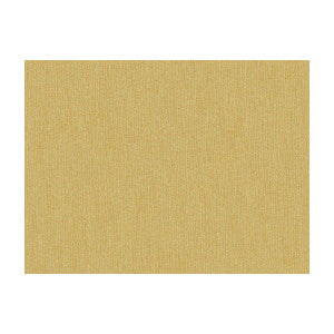 Shots Vicuna by Brunschwig & Fils Fabric