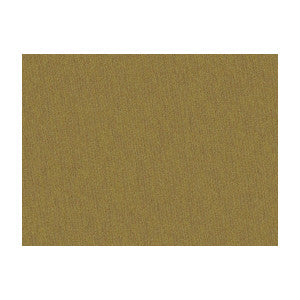 Shots Cuir by Brunschwig & Fils Fabric