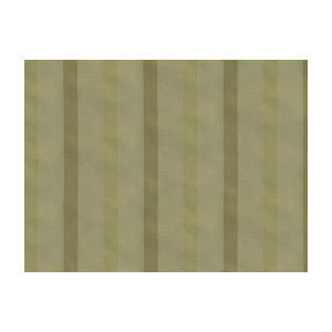 Modern Stripe Bronzetto by Brunschwig & Fils Fabric