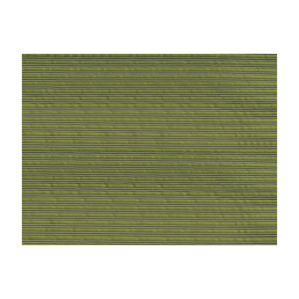 Cambridge Asparagus by Brunschwig & Fils Fabric Brunschwig & Fils Fabric Cambridge AsparagusFabric JAGTAR COTTON - 58%;SILK - 42% Thailand </p><p>Repeat: H: 0, V: 0.394 55 - Fabric Carolina -
