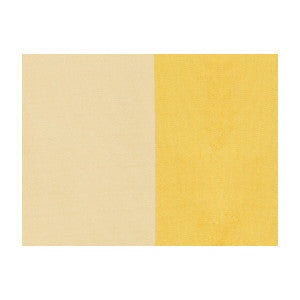Petersburg Stp Lemonice by Brunschwig & Fils Fabric