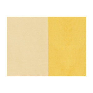 Petersburg Stp Lemonice by Brunschwig & Fils Fabric