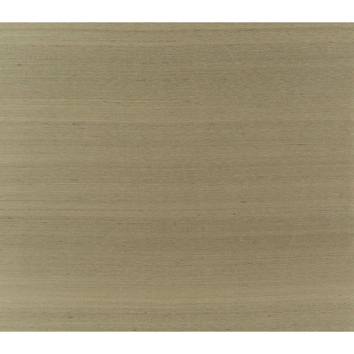 Silk Twist Cafe Au Lait by Brunschwig & Fils Fabric Brunschwig & Fils Fabric Silk Twist Cafe Au LaitFabric JAGTAR SILK - 100% Thailand </p><p>Repeat: H: 0, V: 0 48 - Fabric Carolina -