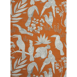 Silk Bird Arancia by Brunschwig & Fils Fabric