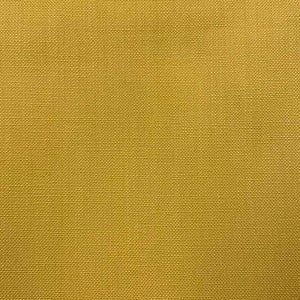 Jagger Citrus by Magnolia Fabric