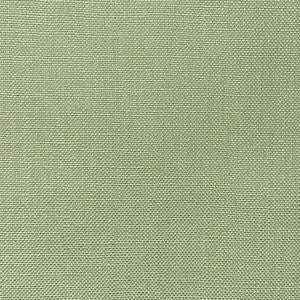 Jagger Green Tea by Magnolia Fabric