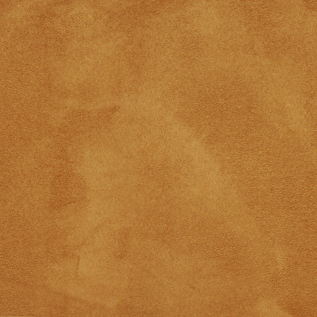 JASPER 19J5561 by JF Fabric JASPER 100% Polyester CHINA ABRASIO (HEAVY DUTY- 30,000+ DOUBLE RUBS) Horizontal: N/A and Vertical: N/A 58.00 - Fabric Carolina -