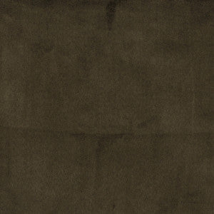 Jasper 79J5561 by JF Fabric