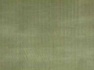 <p>Strie Amboise Sage JB84160654 by Scalamandre Fabric</p><p><strong>Required Minimum Quantity Purchase: Fabrics by the yard 1 YARD MINIMUM </p><p>Book: ESSENTIAL VELVETS</p><p>Content: 90% COTTON 10% POLYESTER</p><p>Origin: U.S.A.</p><p>Performance: HEAVY DUTY</p><p>Repeat: Horizontal: 0" and Vertical: 0"</p><p>Width: 54</p>